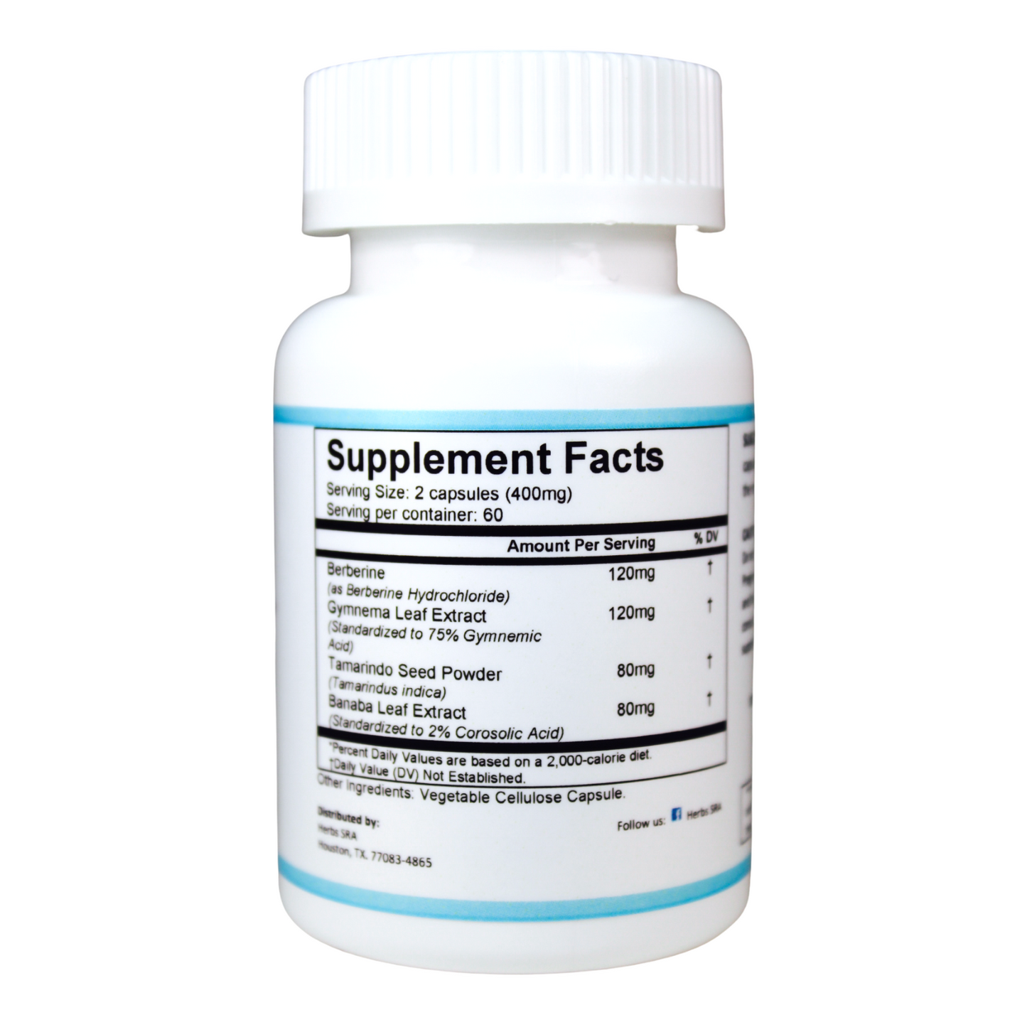 GLUCO SUPPORT