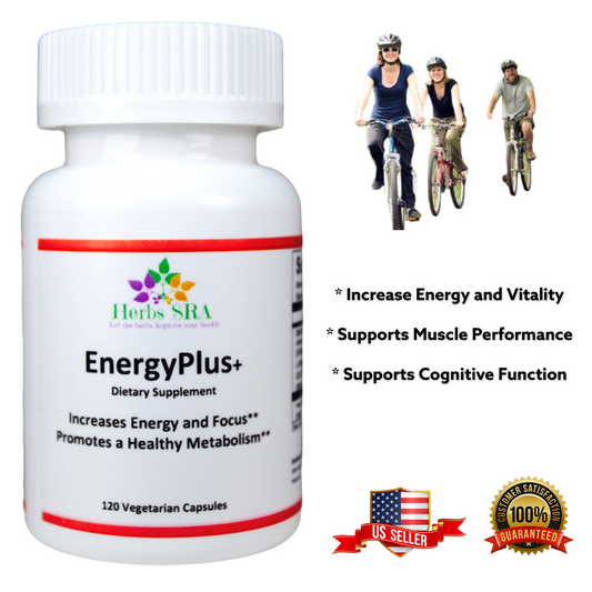 ENERGY PLUS